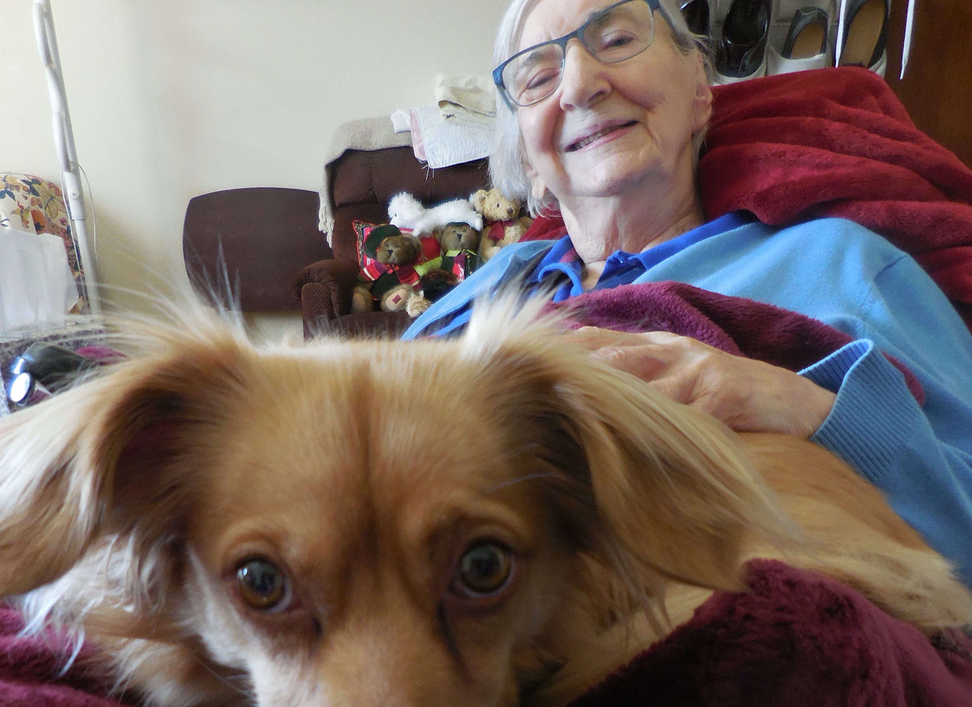Canine Visits